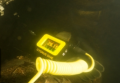 cyg001